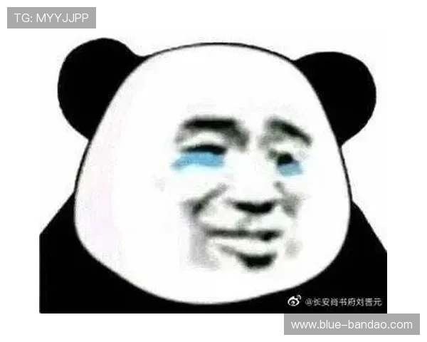 “队长专区”指南（中文）
